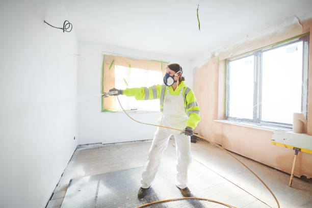 Best Mold Damage Restoration  in Scotia, NY