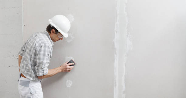 Best Dehumidification Services  in Scotia, NY