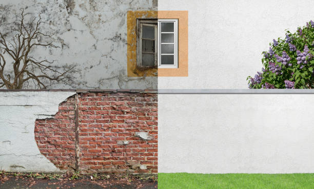Best Real Estate Mold Inspection  in Scotia, NY